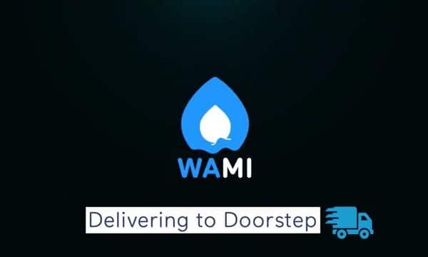 Liquid Animation Logo Reveal – Wami